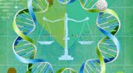 Timeline: BIOÉTICA