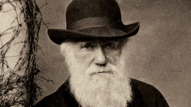 Teoría Darwin-Wallace