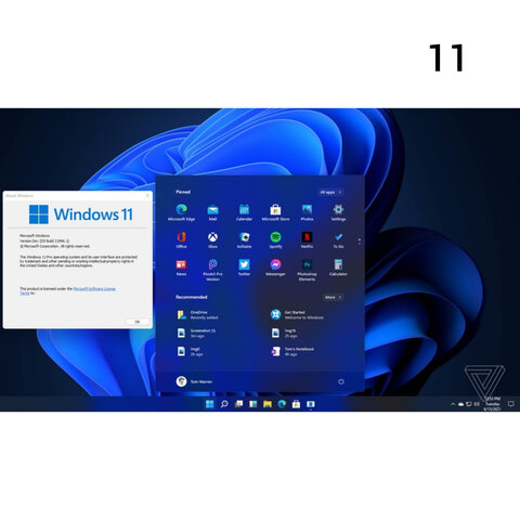Windows 11