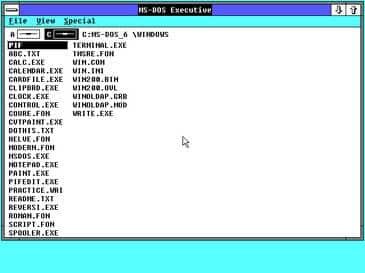 WINDOWS 2.0