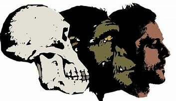 La teoría sintética