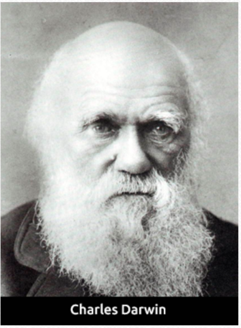 Teoría de la evolución 1859