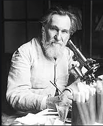 Iliá Metcnikoff