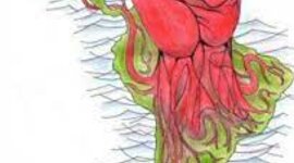 Timeline: Principios revolucionarios en hispanoamérica