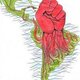 Descarga (6)