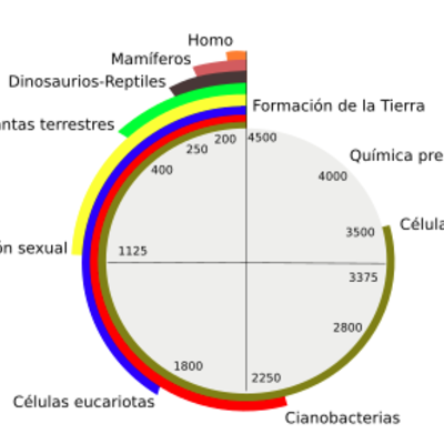 Timeline: EL ORIGEN DE LA CÉLULA