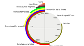Timeline: EL ORIGEN DE LA CÉLULA