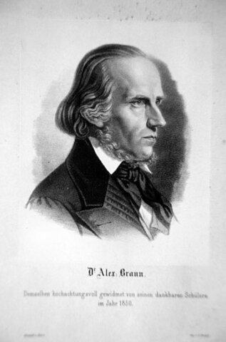 Heinrich (1805-1877).