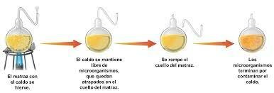 Teoría de la biogénesis