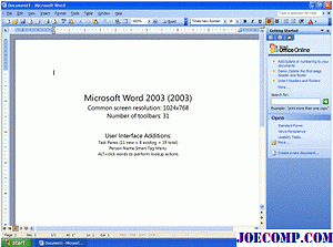 MS Office 2003
