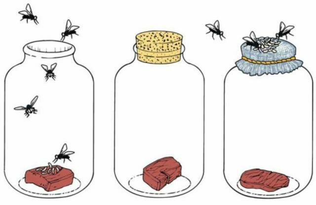 Refutación de la abiogénesis