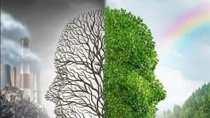 Protocolo de Montreal.