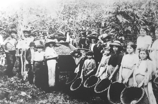 Llegada oligarqía cafetalera