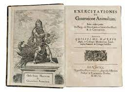 Grecia (Aristoteles)