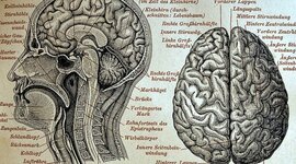 Timeline: HISTORIA DE LA NEUROCIENCIA Capítulo IV