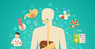 Fómulas industrializadas