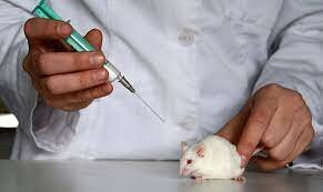 RELACION CON LOS JUICIOS DE NUREMBERG PART 2