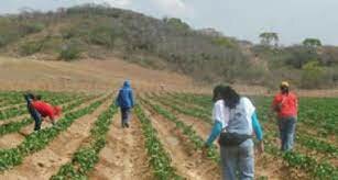 Creación del Programa de Inversiones Publicas(PIDER)