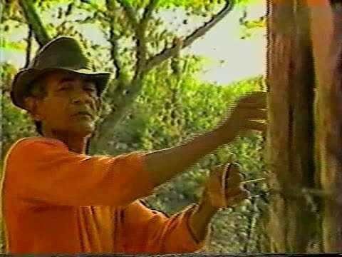 "Mi Pueblo Natal" y "Somos un Pueblo que canta"