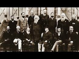 australian federation