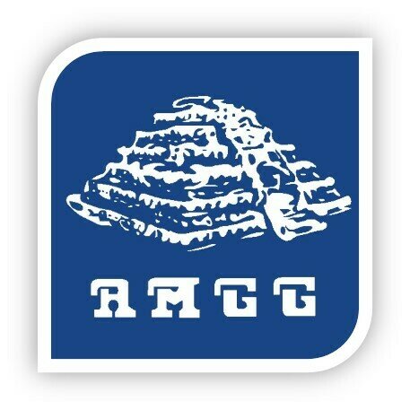 Asociación Mexicana de Geriatría y Gerontología. (AMGG)