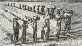 Timeline: Timeline of  Slavery in North America