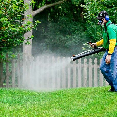 Timeline: El uso de insecticidas a lo largo de la historia