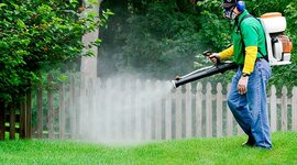 Timeline: El uso de insecticidas a lo largo de la historia