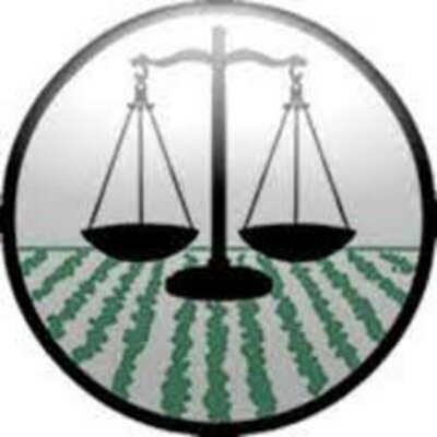 Timeline: Constitucionalismo Contemporáneo