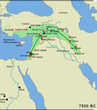 The Neolithic Revolution