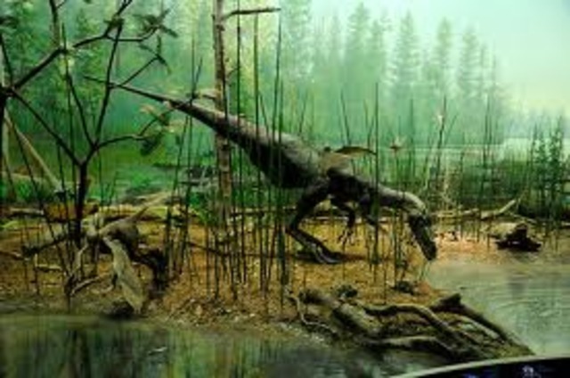 Early Birds and Mammals Appear