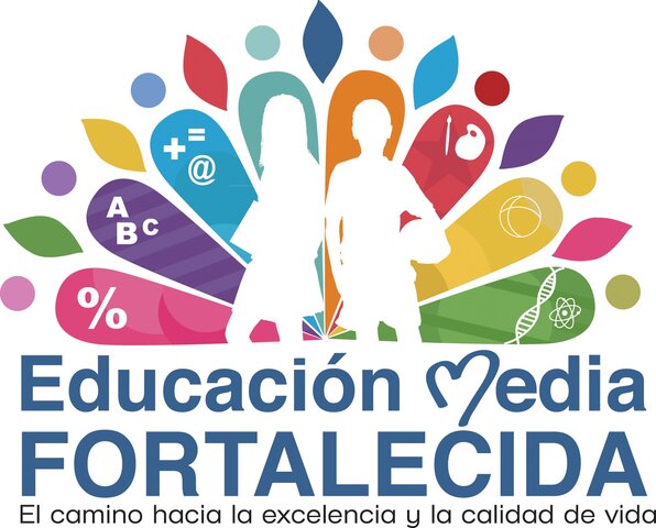 La educación media en la actualidad
