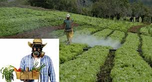 Insecticidas organofosforados