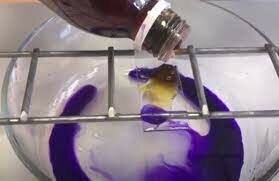 Introduccion de técnicas de tinción con colorantes.