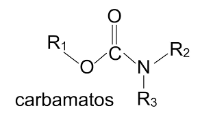 Insecticidas carbamatos