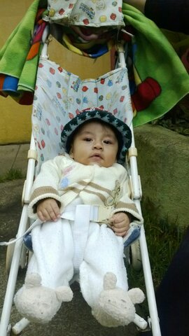 SIXTH MONTH OF LIFE.