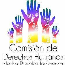 Convención Nacional Indígena (hoy Congreso Nacional Indígena), y la Asamblea Nacional Indígena Plural por la Autonomía (ANIPA)