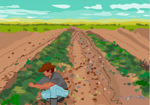 REDISTRIBUCIÓN DE TIERRAS