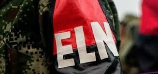 Creación del ELN