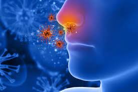 Propagación de Viruela.