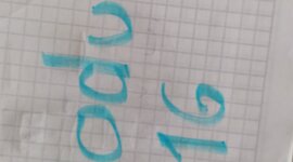 Timeline: santa veronica