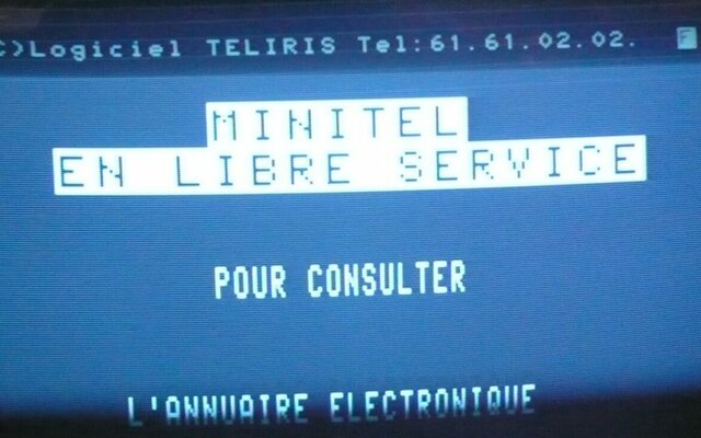 Éxito  de Minitel, Gobierno, Sitios.