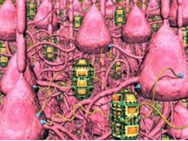 Neuronas artificiales