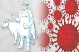 se concluyó que la brucelosis, fiebre tifoidea, tularemia, tuberculosis, hepatitis y la encefalitis equina venezolana fueron las infecciones más frecuentes.