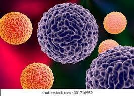 Hanson reportó infecciones directas de laboratorio con arbovirus.