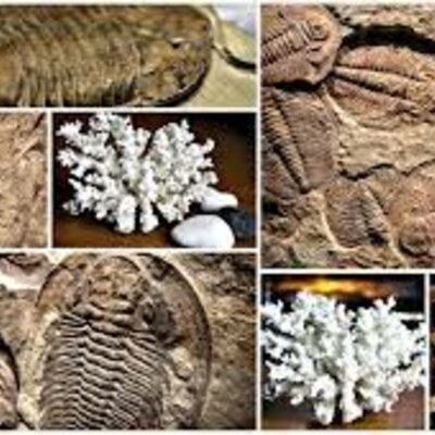 Timeline: El tiempo geologico