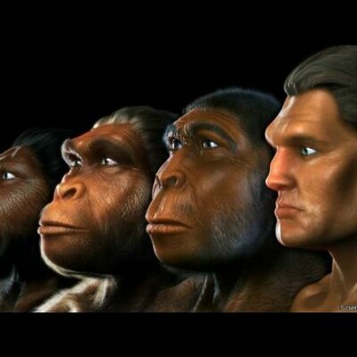 Timeline: EVOLUCION DEL HOMBRE