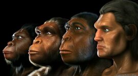 Timeline: EVOLUCION DEL HOMBRE