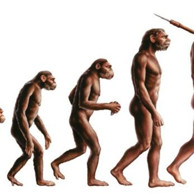 Timeline: Evolución De La Especie Humana.