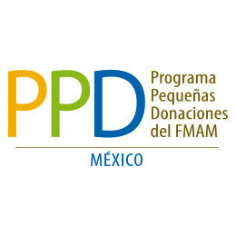 Pensar globalmente, actuar localmente